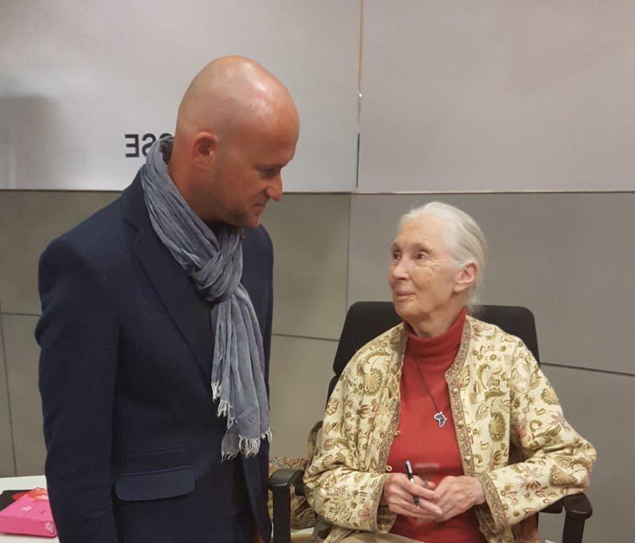 jane goodall rei gesing